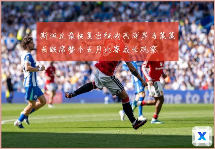 斯坦丘最快复出征战西海岸马莱莱或缺席整个五月比赛成长观察