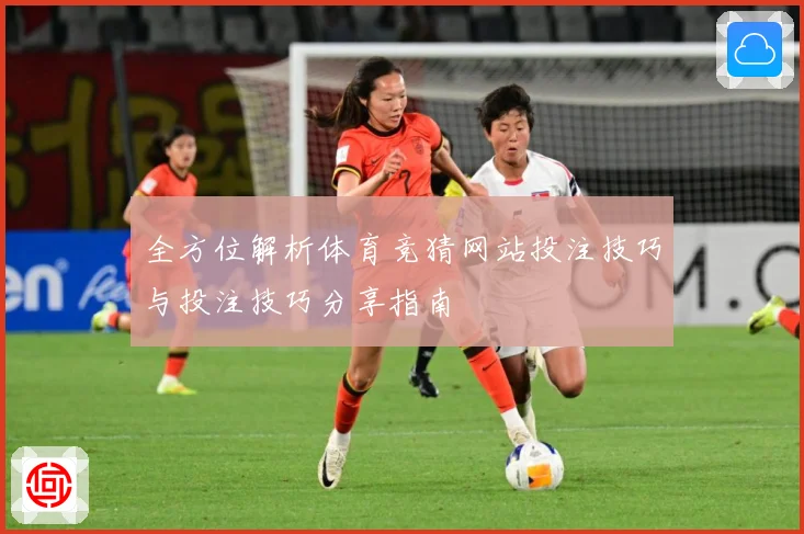 全方位解析体育竞猜网站投注技巧与投注技巧分享指南