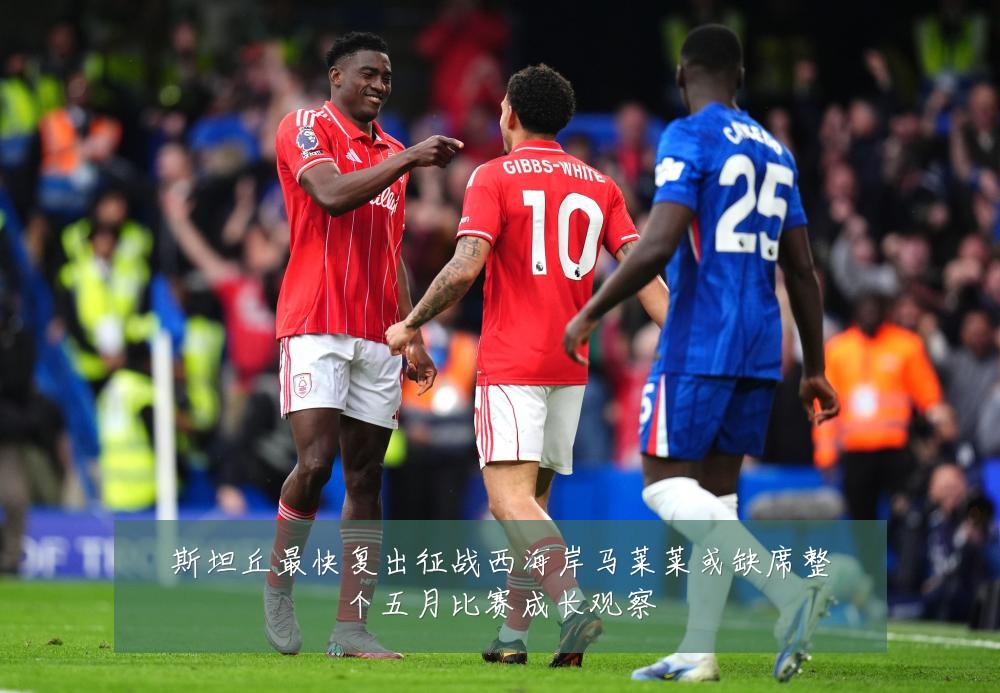 斯坦丘最快复出征战西海岸马莱莱或缺席整个五月比赛成长观察