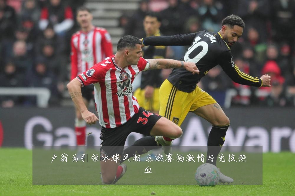 卢翁戈引领冰球风潮 点燃赛场激情与竞技热血